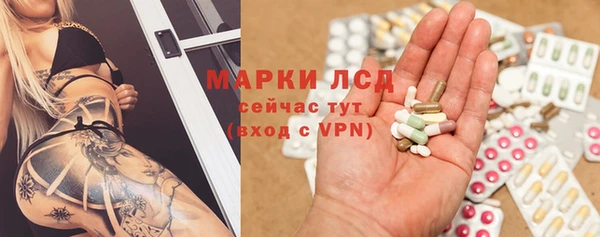 шишки Алексин