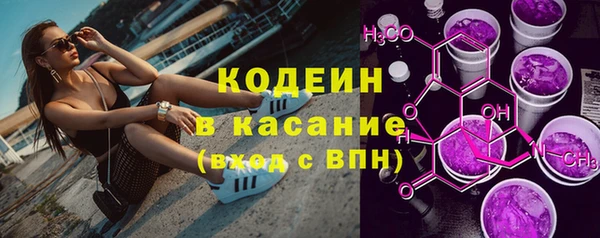 шишки Алексин